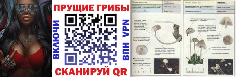 Галлюциногенные грибы GOLDEN TEACHER Красноармейск